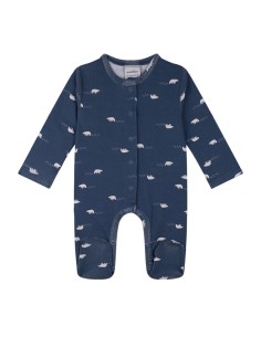 Antebies - Kutup Ayısı Tulum