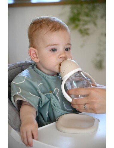 Beaba - Şeffaf Pipetli Suluk 300 ml Clay