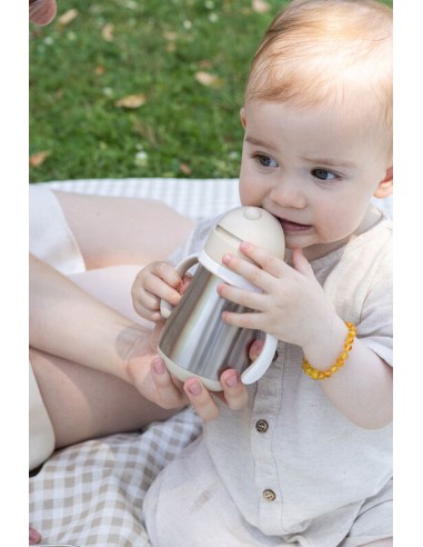 Beaba - Çelik Pipetli Suluk 250 ml Clay