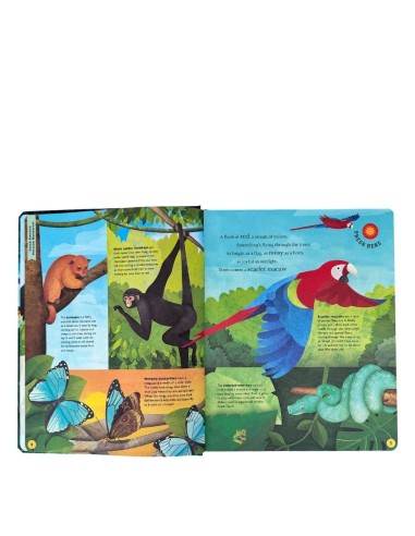 Little Tiger - Sounds of the Wild