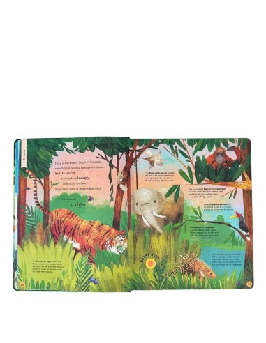 Little Tiger - Sounds of the Wild