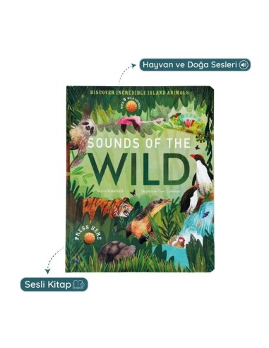 Little Tiger - Sounds of the Wild