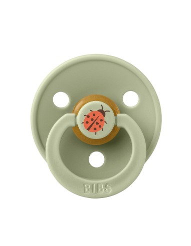 Bibs - Colour Kauçuk Emzik Ladybug...