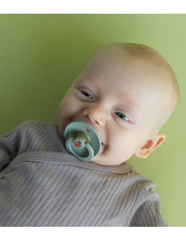 Bibs - Colour Kauçuk Emzik Ladybug...