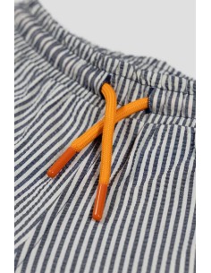 BeetleBeez - Happy Stripes... 2