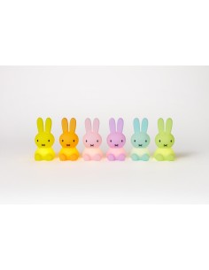 Mr. Maria - Miffy Blind Box...