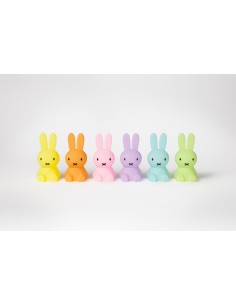 Mr. Maria - Miffy Blind Box... 2
