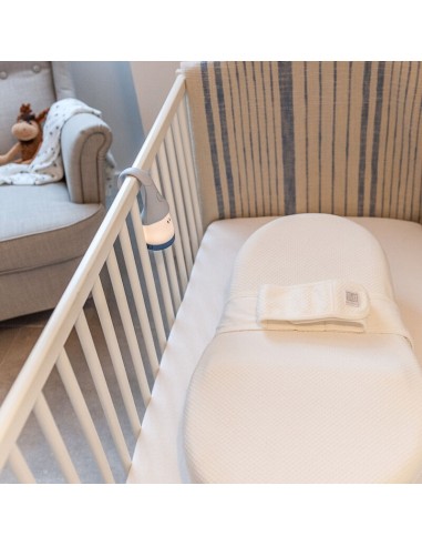 Beaba - Cocoonababy Ergonomik Yeni...