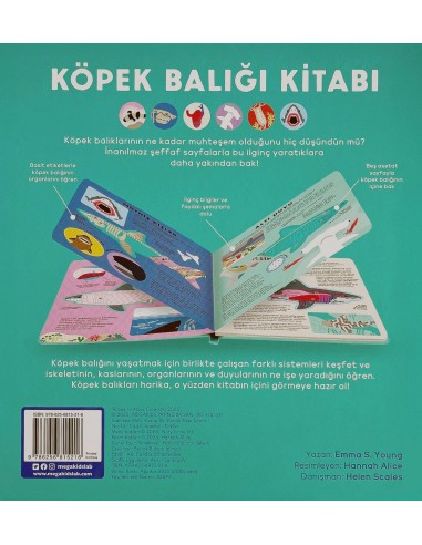 Megakids - Köpek Balığı Kitabı