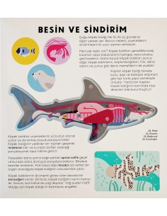 Megakids - Köpek Balığı Kitabı 2